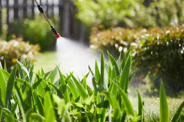24/7 Emergency Mosquito Control experts in Reinbeck, IA